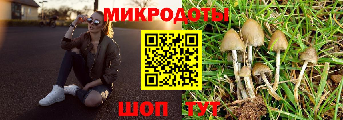 наркота  Псилоцибиновые грибы Magic Shrooms  Вход с VPN  Омск 